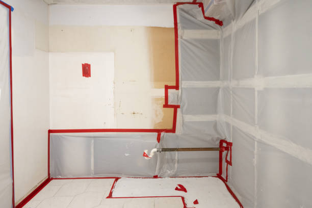 Best Crawl Space Mold Remediation  in Clearwater, MN