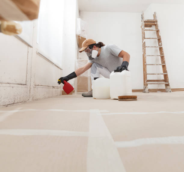 Best Mold Removal for HVAC Installations  in Clearwater, MN